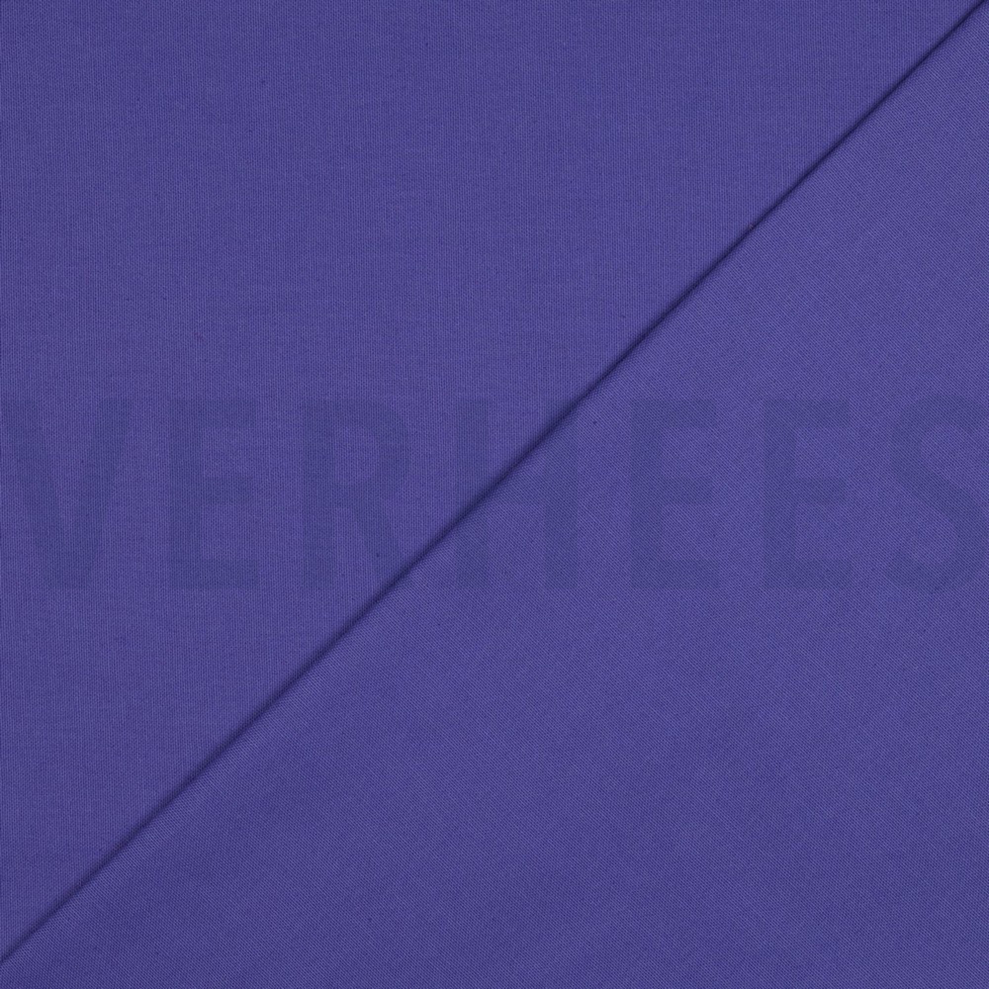 CANVAS LAVENDER (high resolution) #4