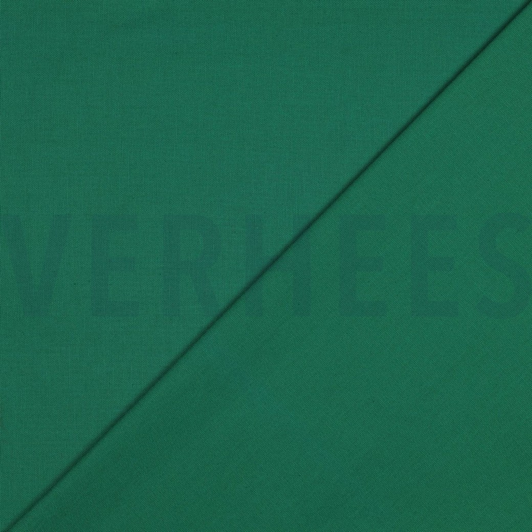 CANVAS GREEN #4