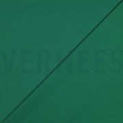 CANVAS GREEN (thumbnail) #4
