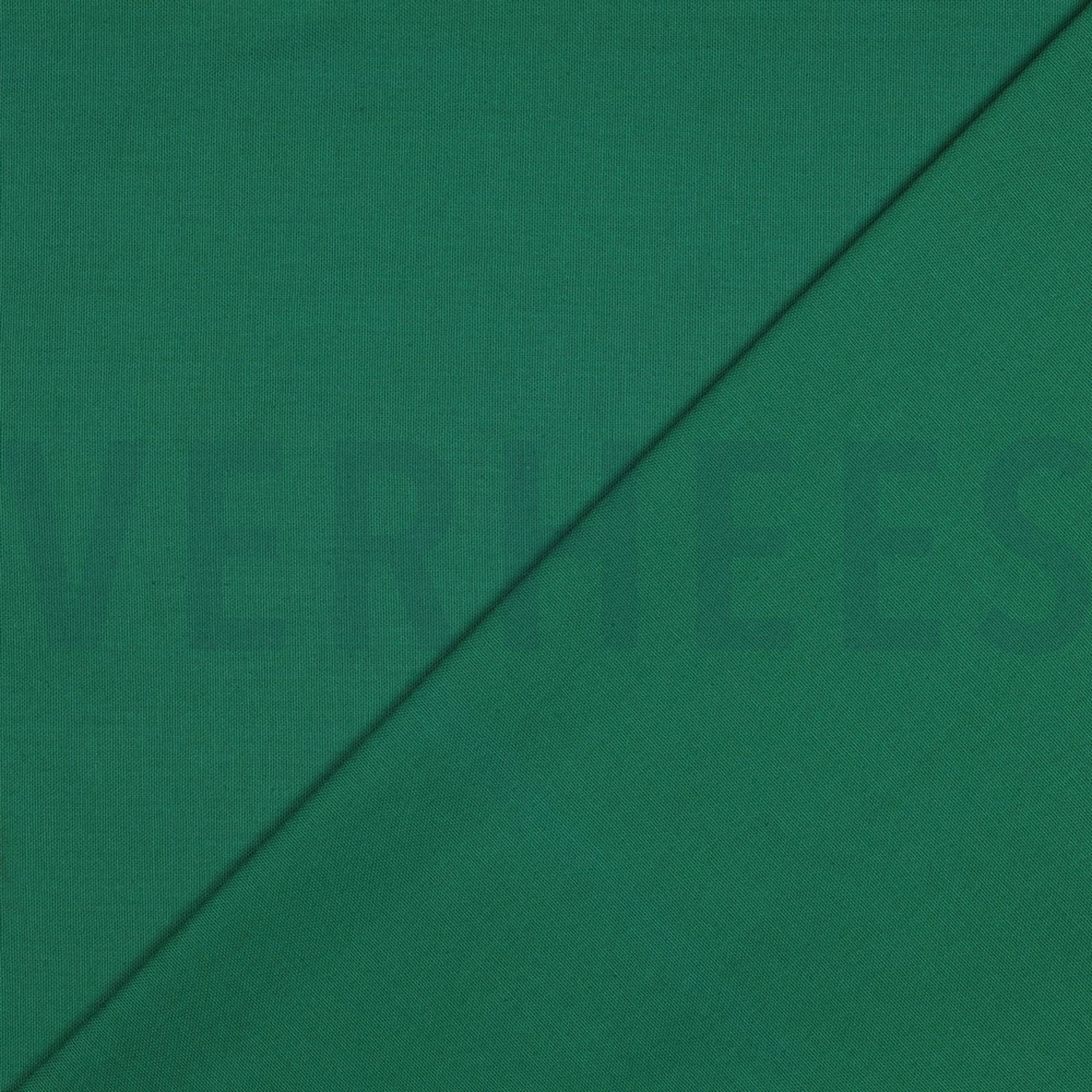CANVAS GREEN (high resolution) #4