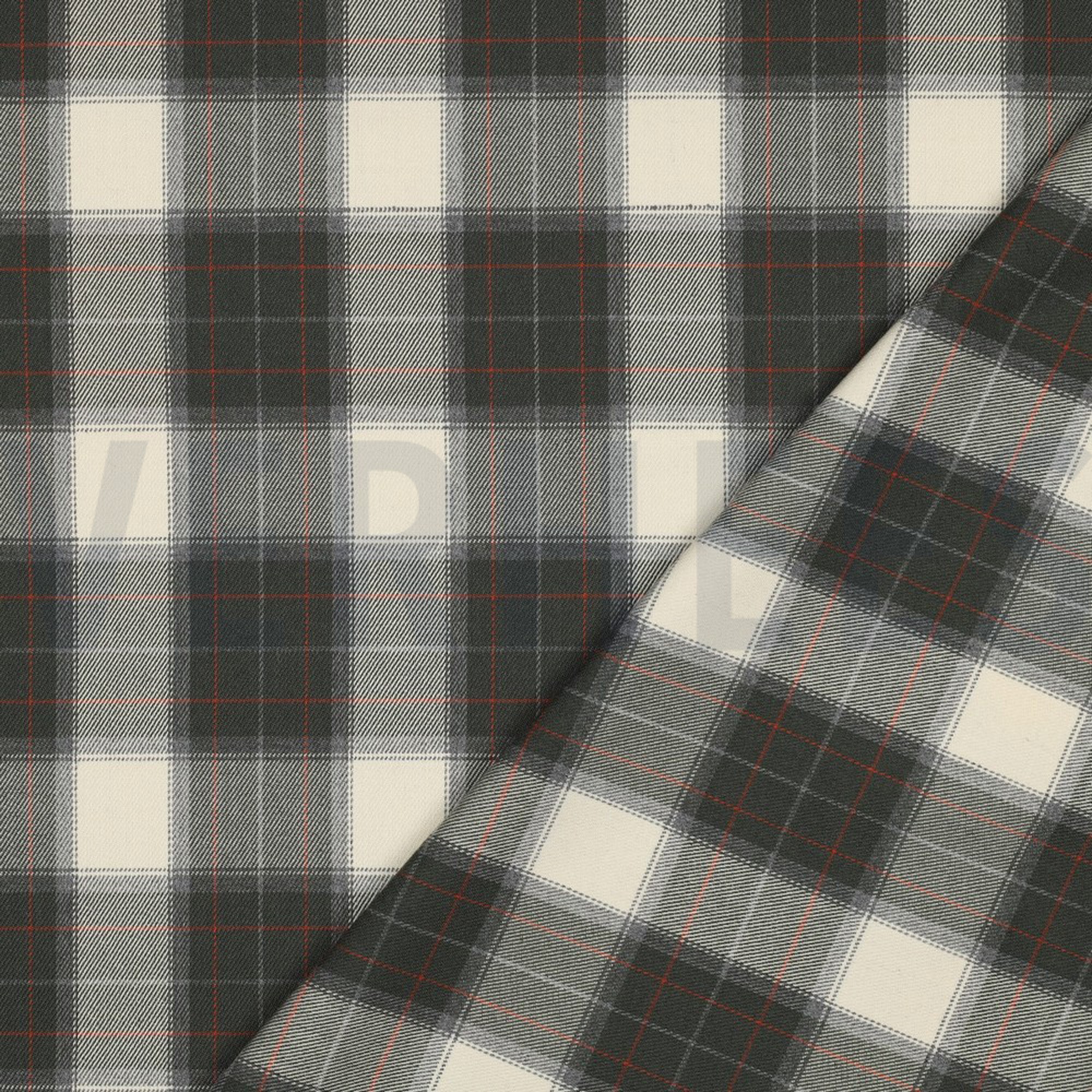 TARTAN CHECK PICKLE/ECRU (high resolution) #4