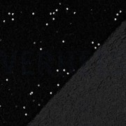 SEQUINS VELVET BLACK (thumbnail) #4
