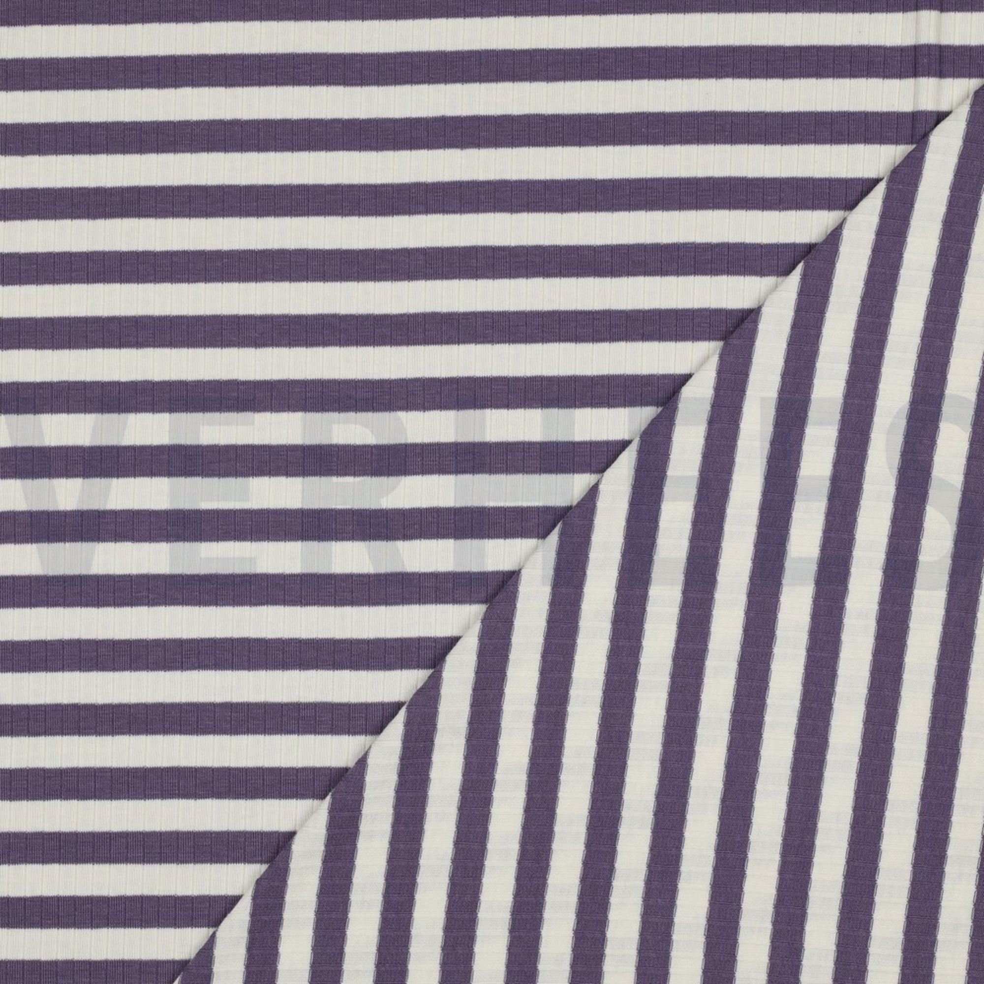 RIB YARN DYED STRIPE GRAPE (high resolution) #4