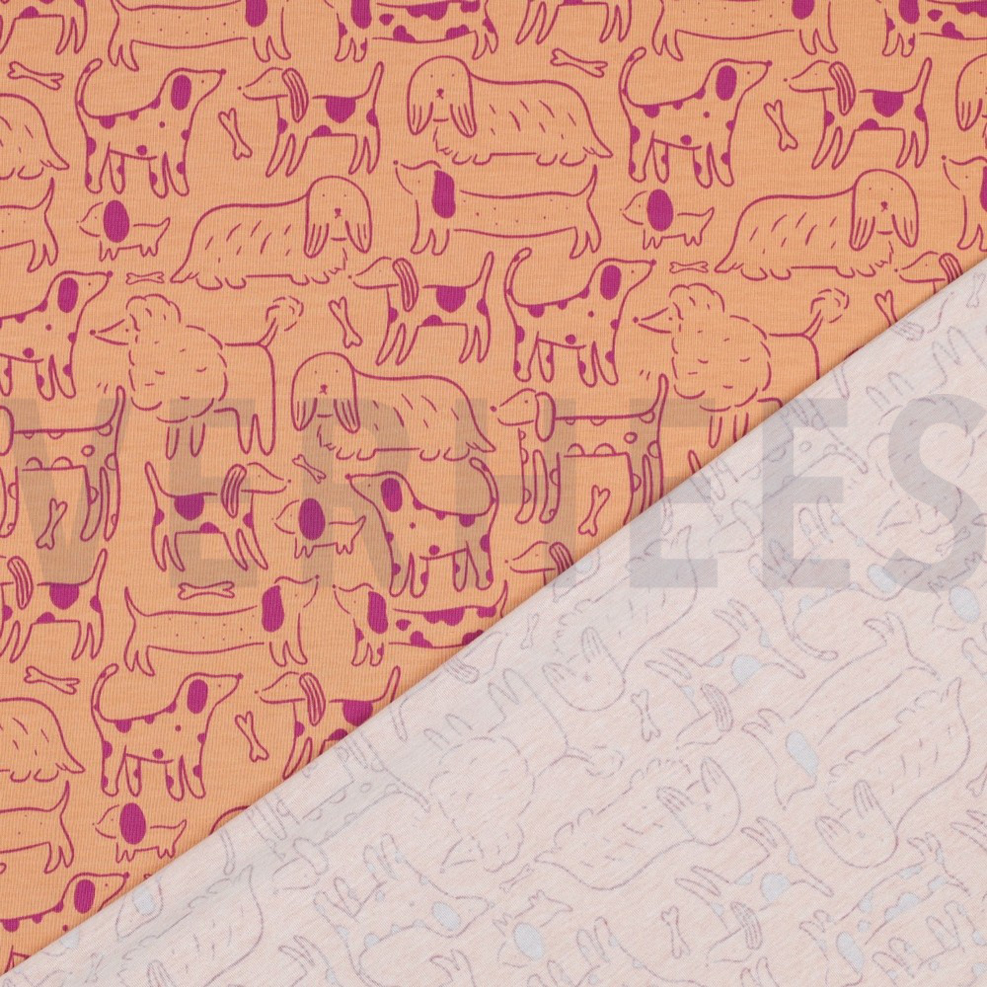 JERSEY DOGS PEACH (high resolution) #4