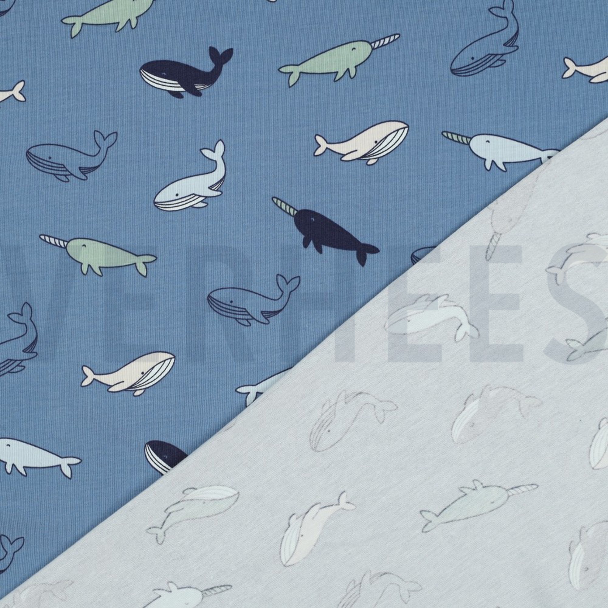 JERSEY WHALES BLUE (high resolution) #4