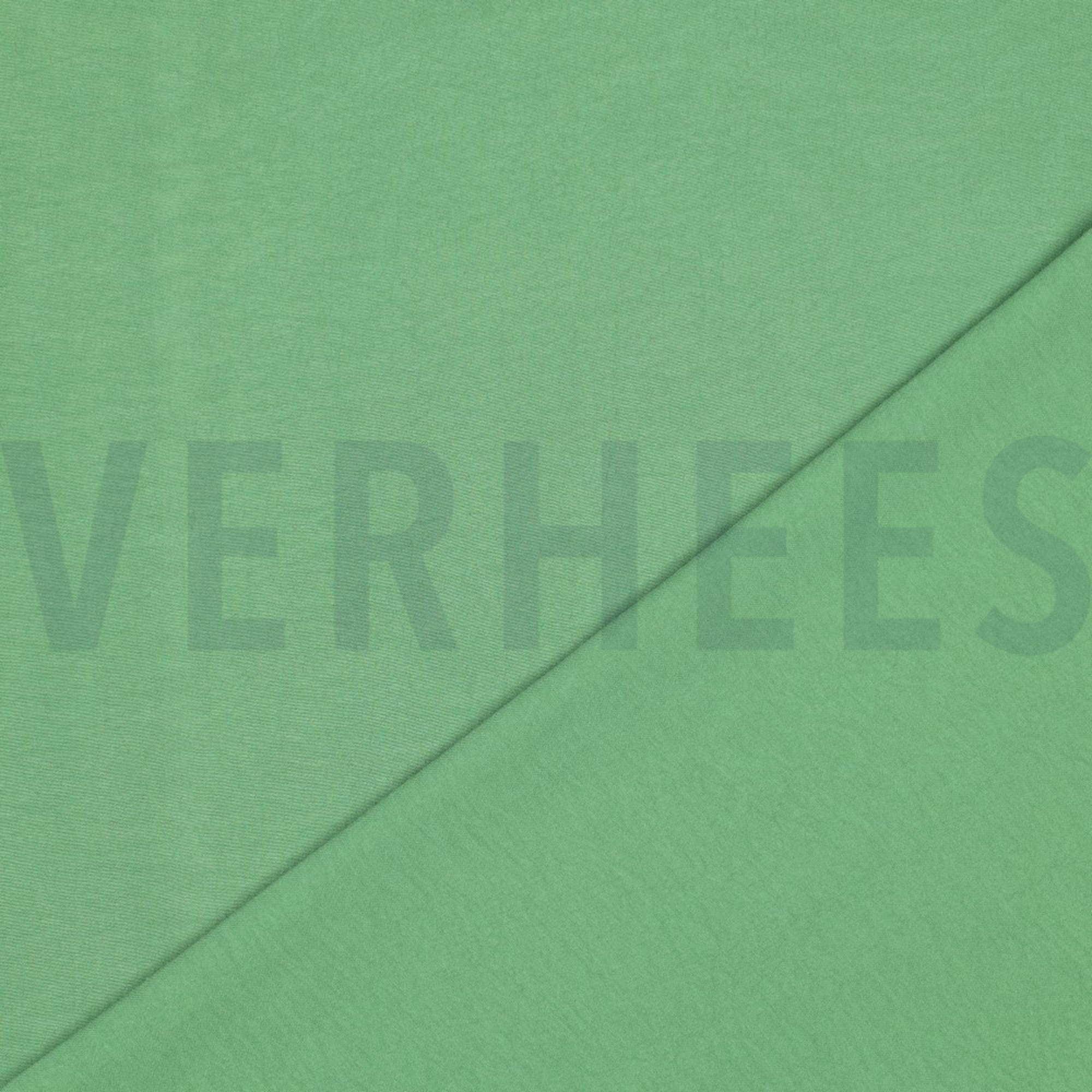 PAPILLON GREEN (high resolution) #4