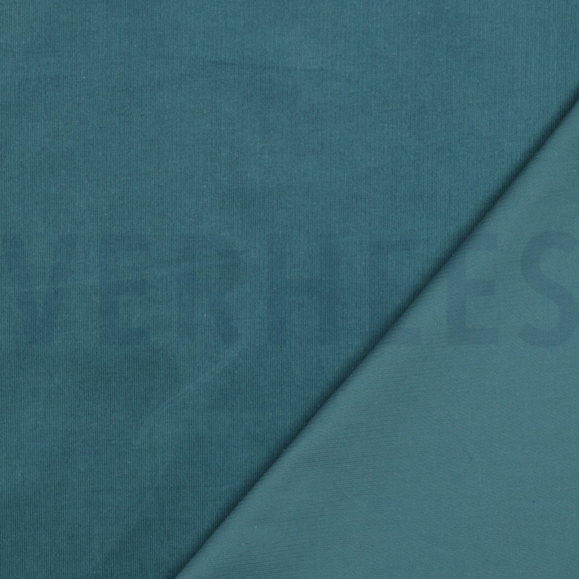 BABYCORD 21W TEAL (high resolution) #4