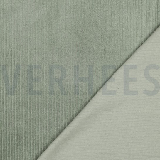 GEWASSEN RIBCORDUROY 4.5W SALIEGROEN #7