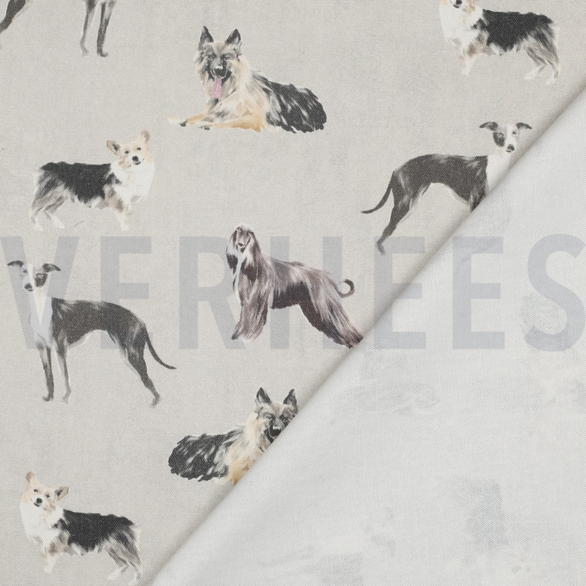 CANVAS DIGITAL DOGS ECRU (high resolution) #4