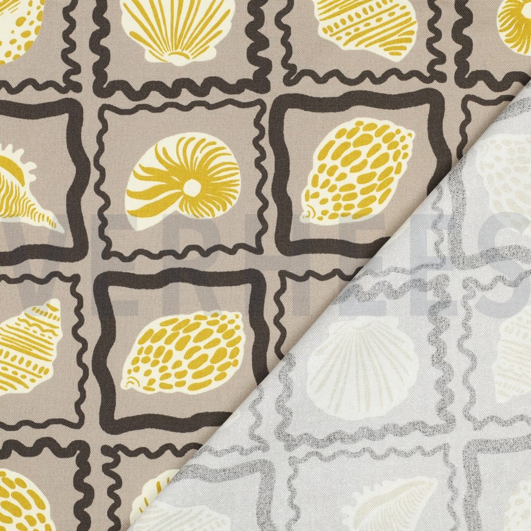 CANVAS SHELLS SAND #4