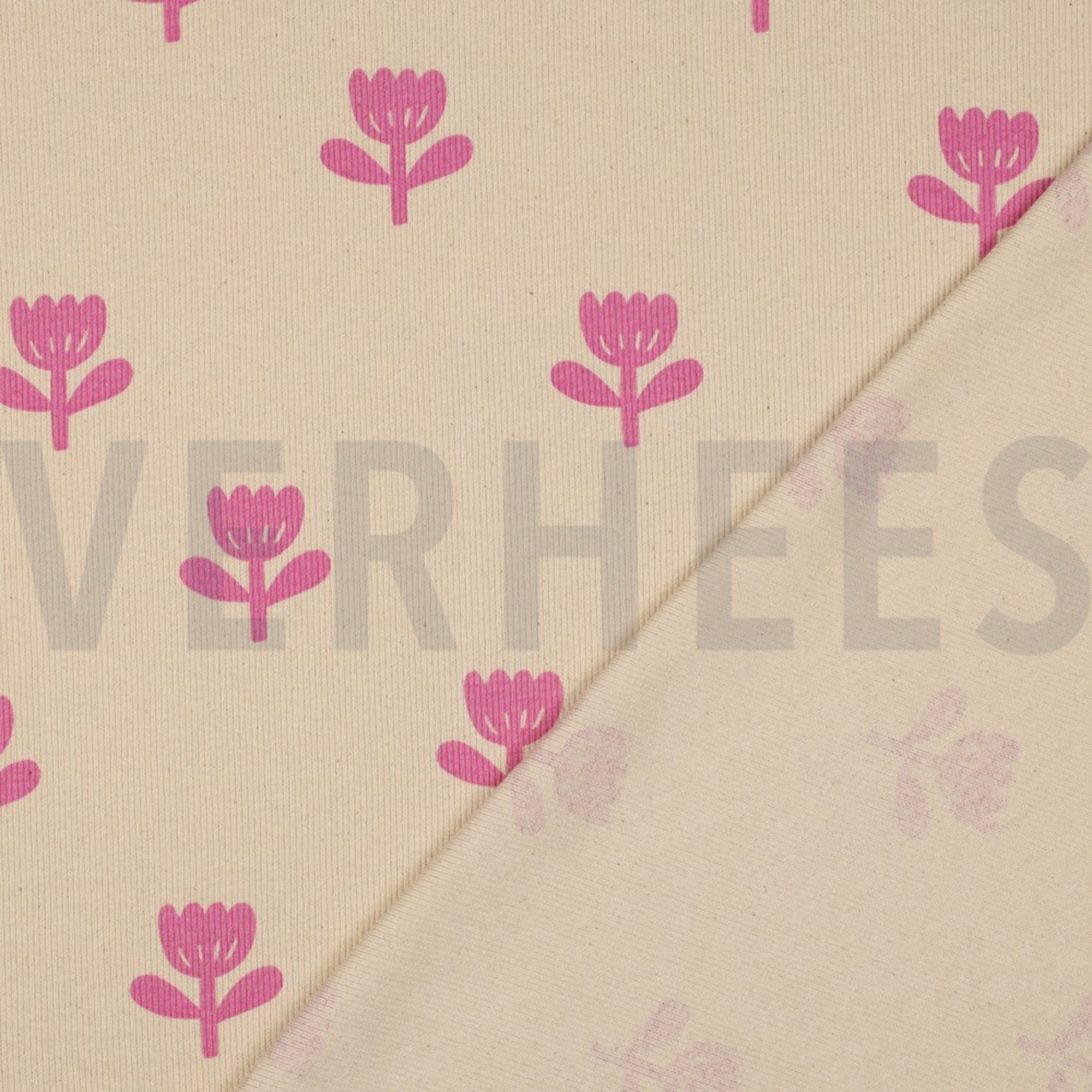 RIB JERSEY GOTS NATURAL FLOWERS NATURAL/ FUCHSIA (high resolution) #4
