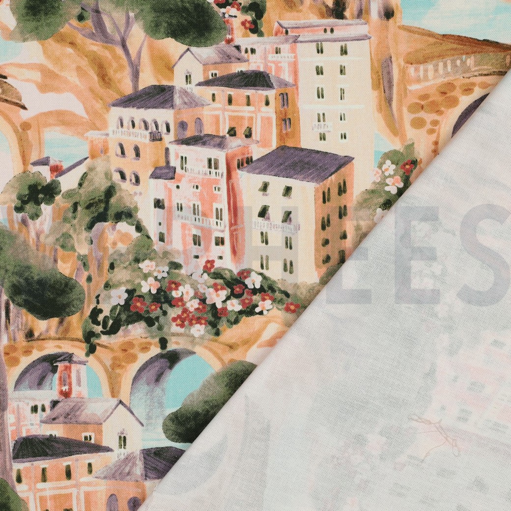 CANVAS DIGITAL HOUSES ECRU #4