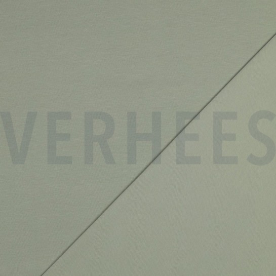 JERSEY GOTS SALBEI #7