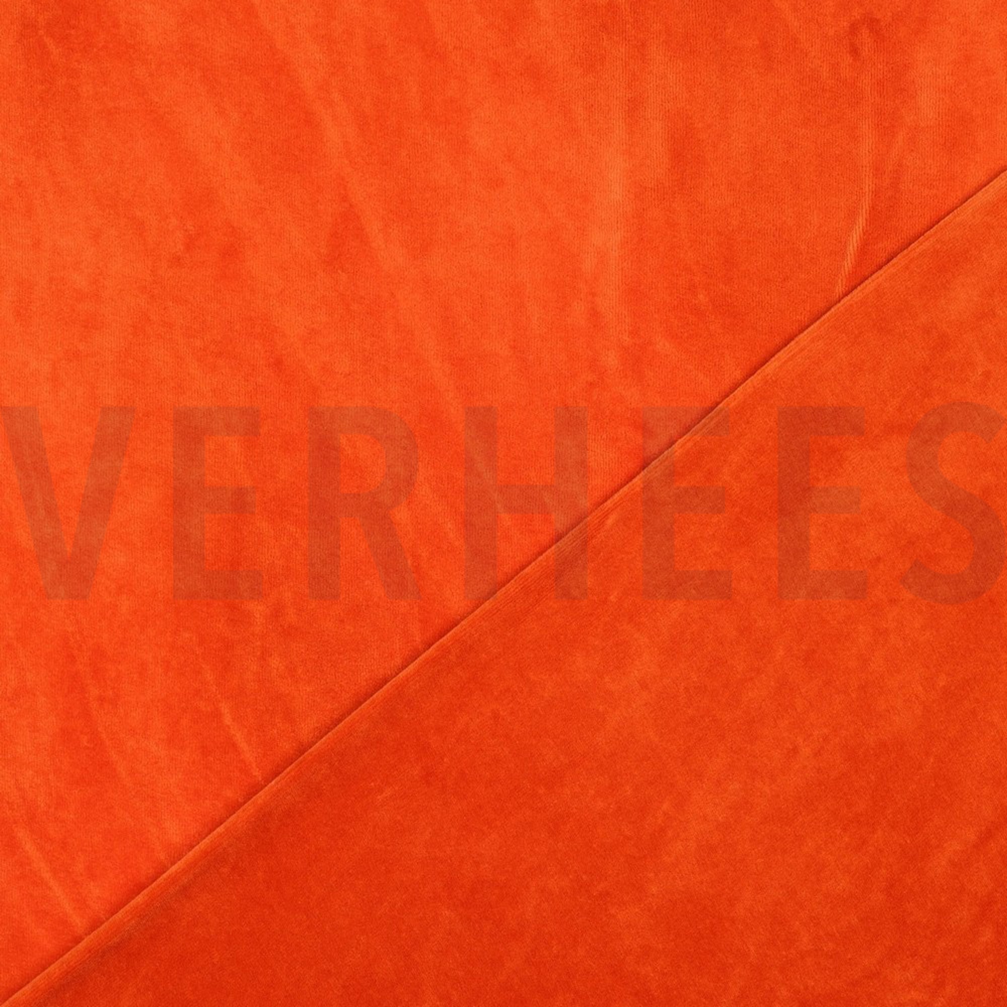 NICKY ORANGE (high resolution) #4