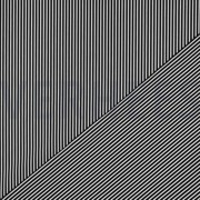 POPLIN STRIPE BLACK (thumbnail) #4