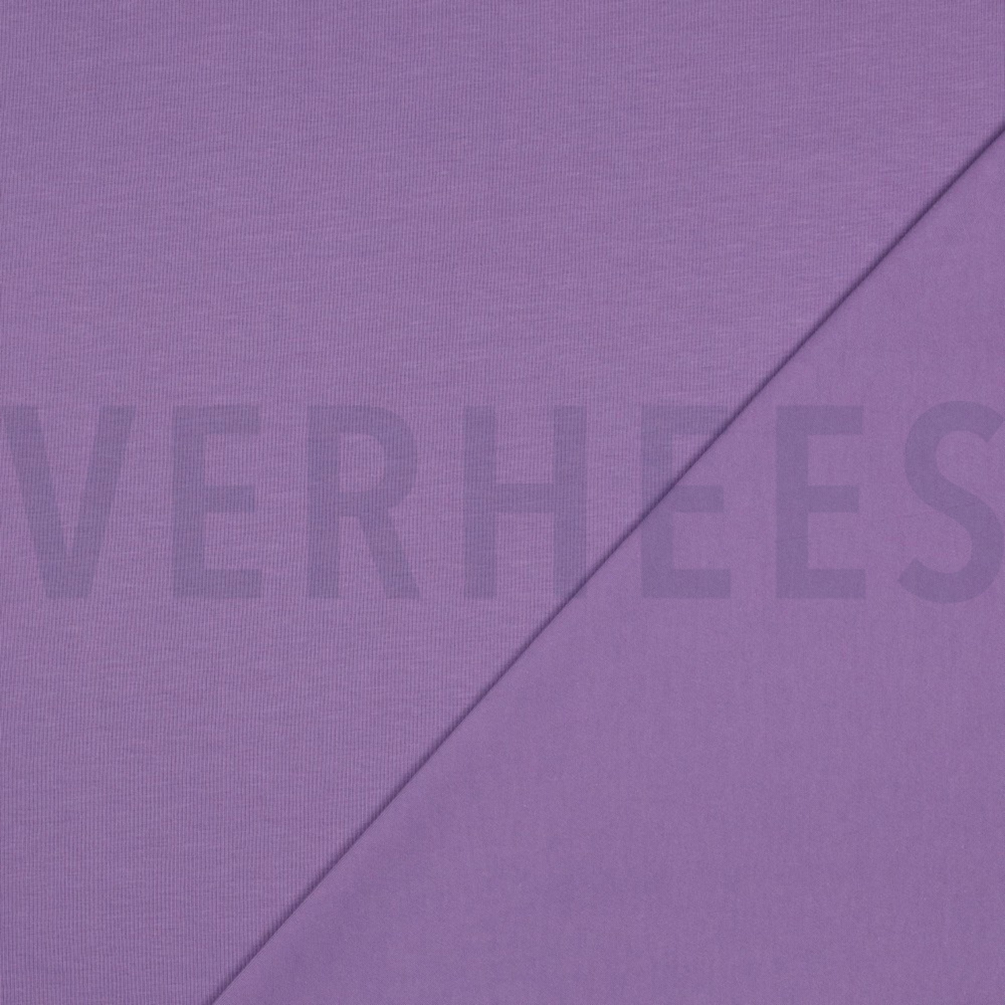 JERSEY LILAC (high resolution) #4