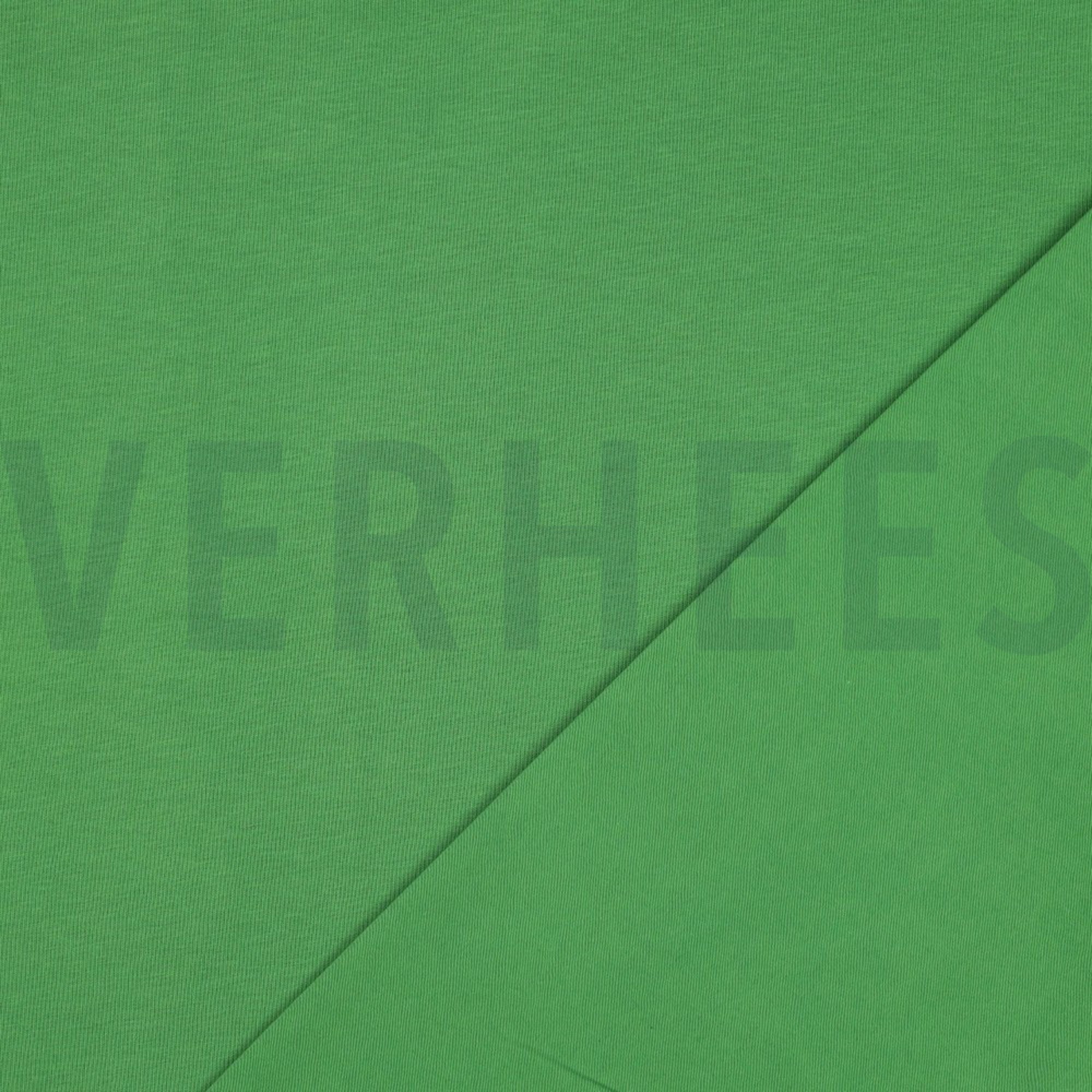 JERSEY GREEN (high resolution) #4