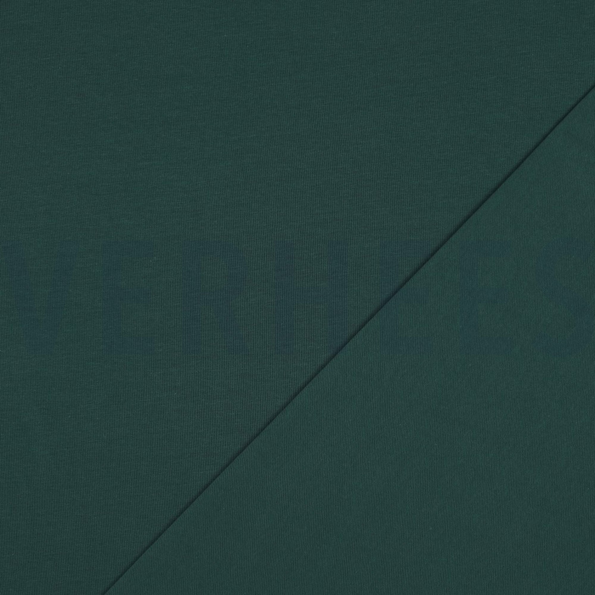 JERSEY DARK GREEN (high resolution) #4