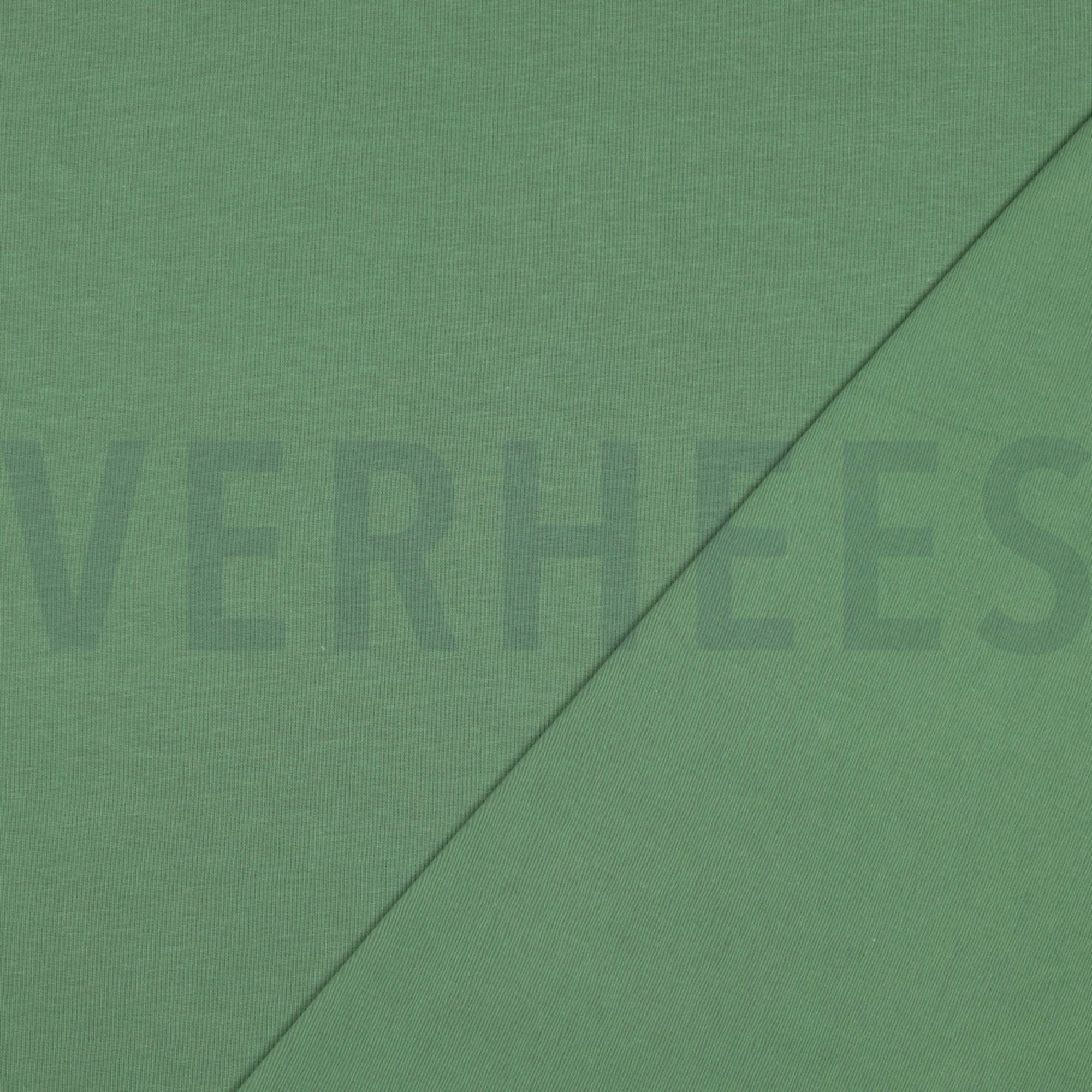 JERSEY FOREST GREEN (high resolution) #4