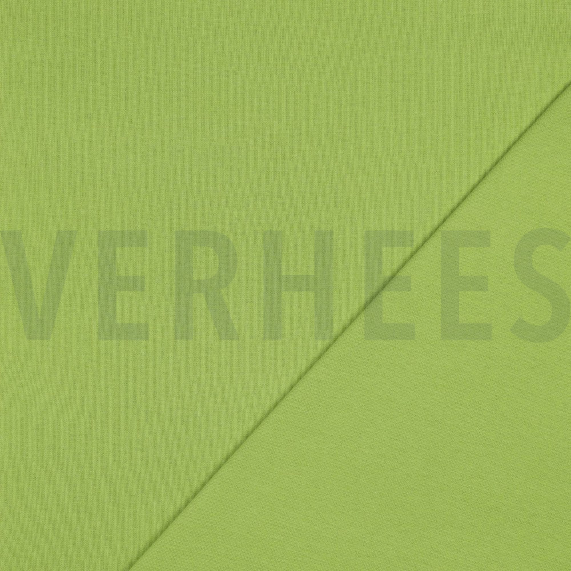 TUBE OLIVE (high resolution) #4