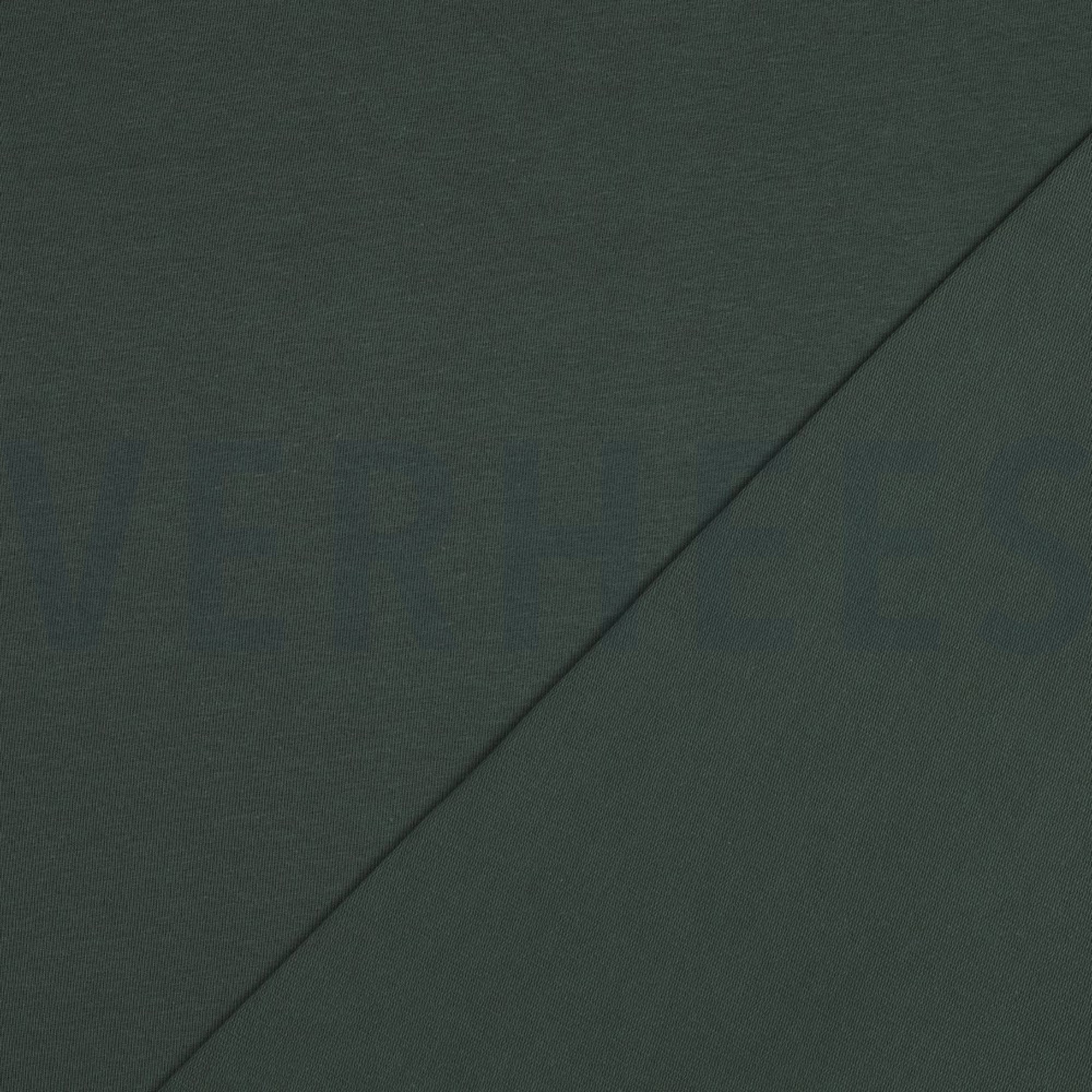 FRENCH TERRY GOTS DARK FOREST GREEN (high resolution) #4