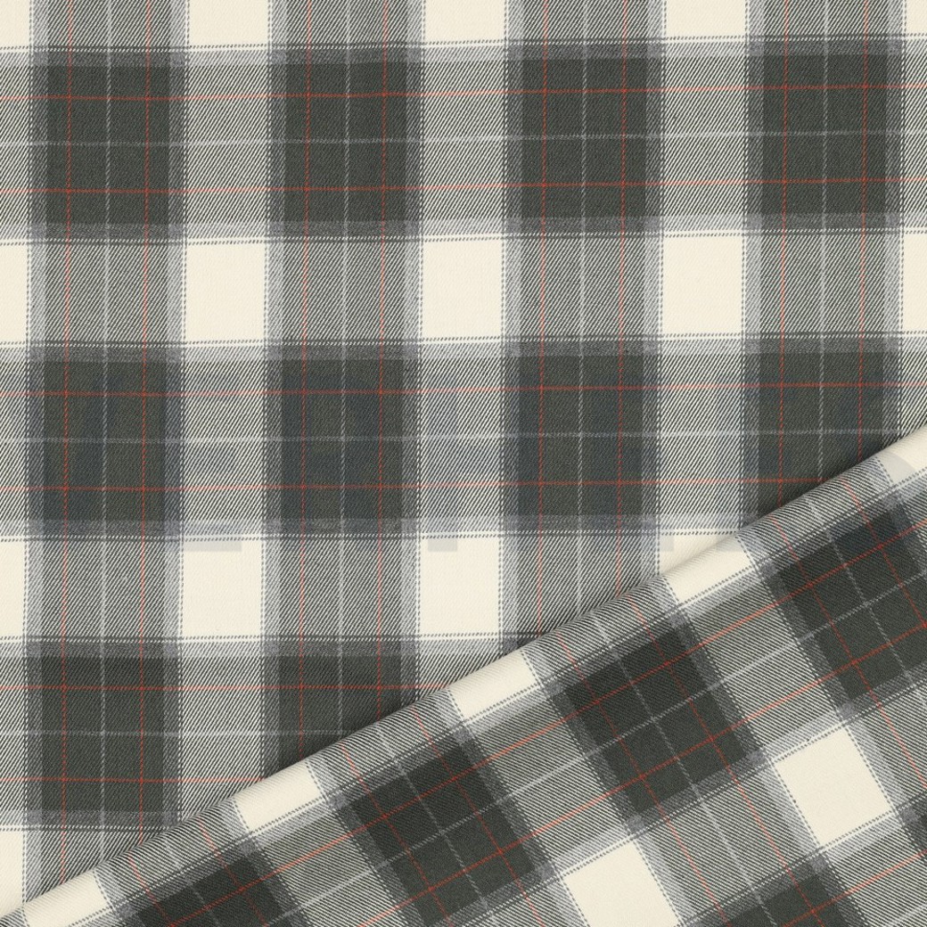 TARTAN CHECK PICKLE/ECRU #5