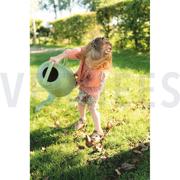POPLIN FLOWERS WINE (thumbnail) #5