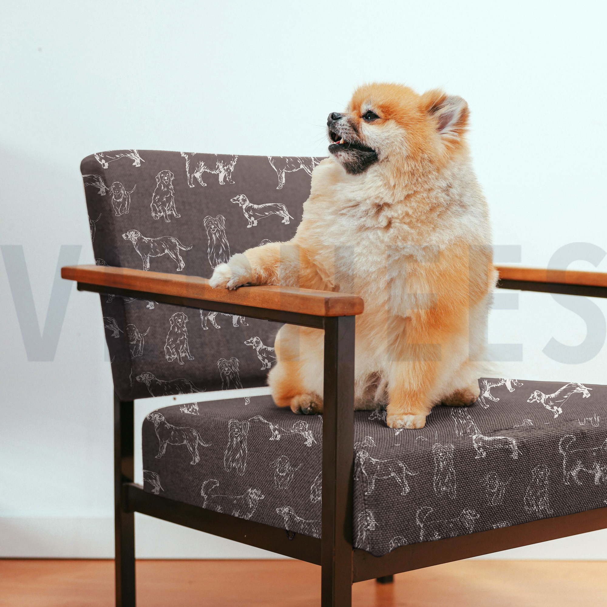CANVAS DOGS ECRU / GREEN (high resolution) #7