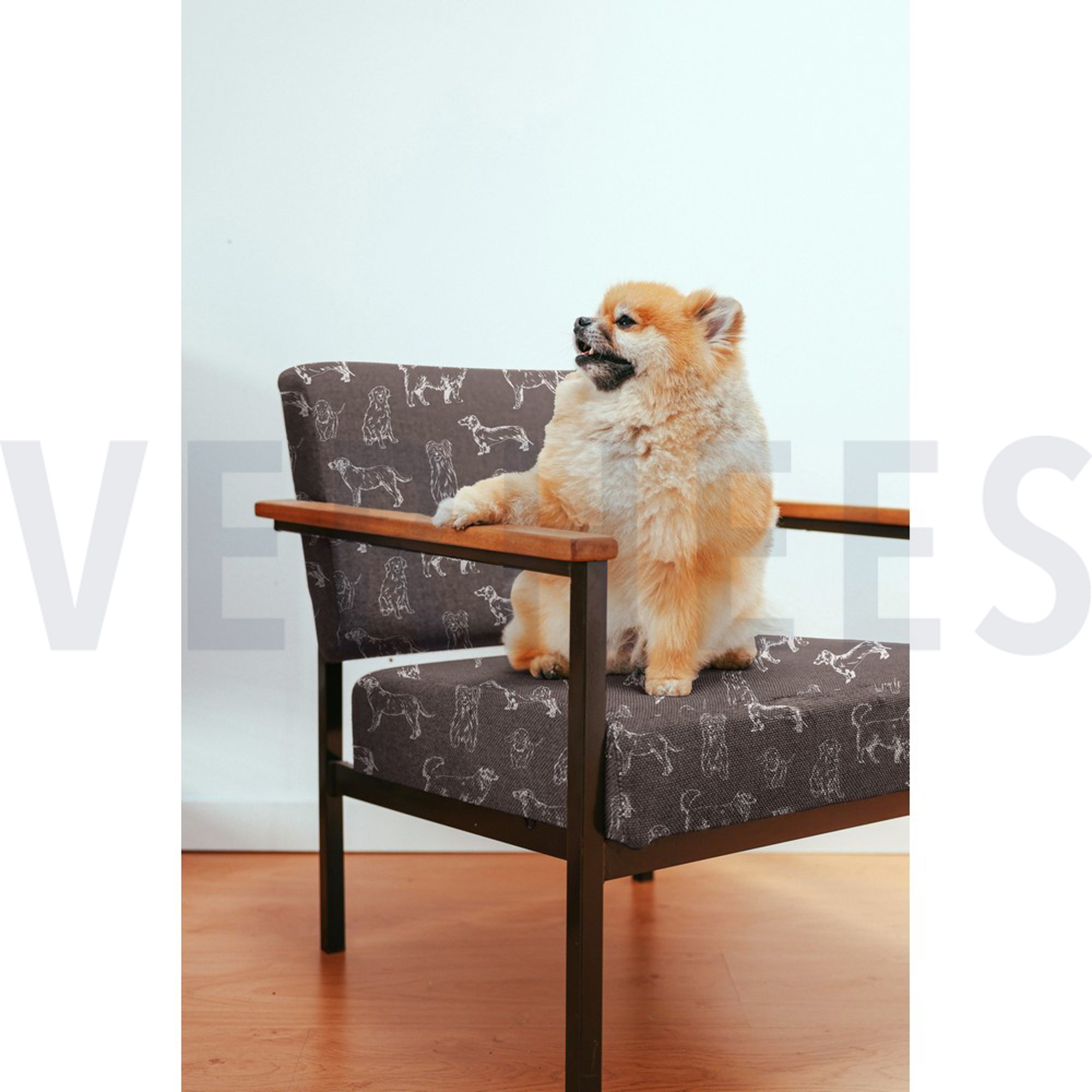 CANVAS DOGS ECRU / GREY (high resolution) #7