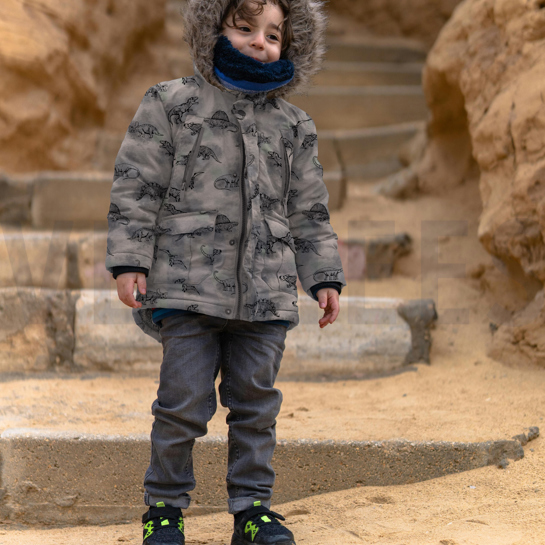 SOFTSHELL DIGITAL DINOSAURS GREY #7