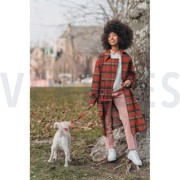 BRUSHED CHECK DENIM (thumbnail) #7