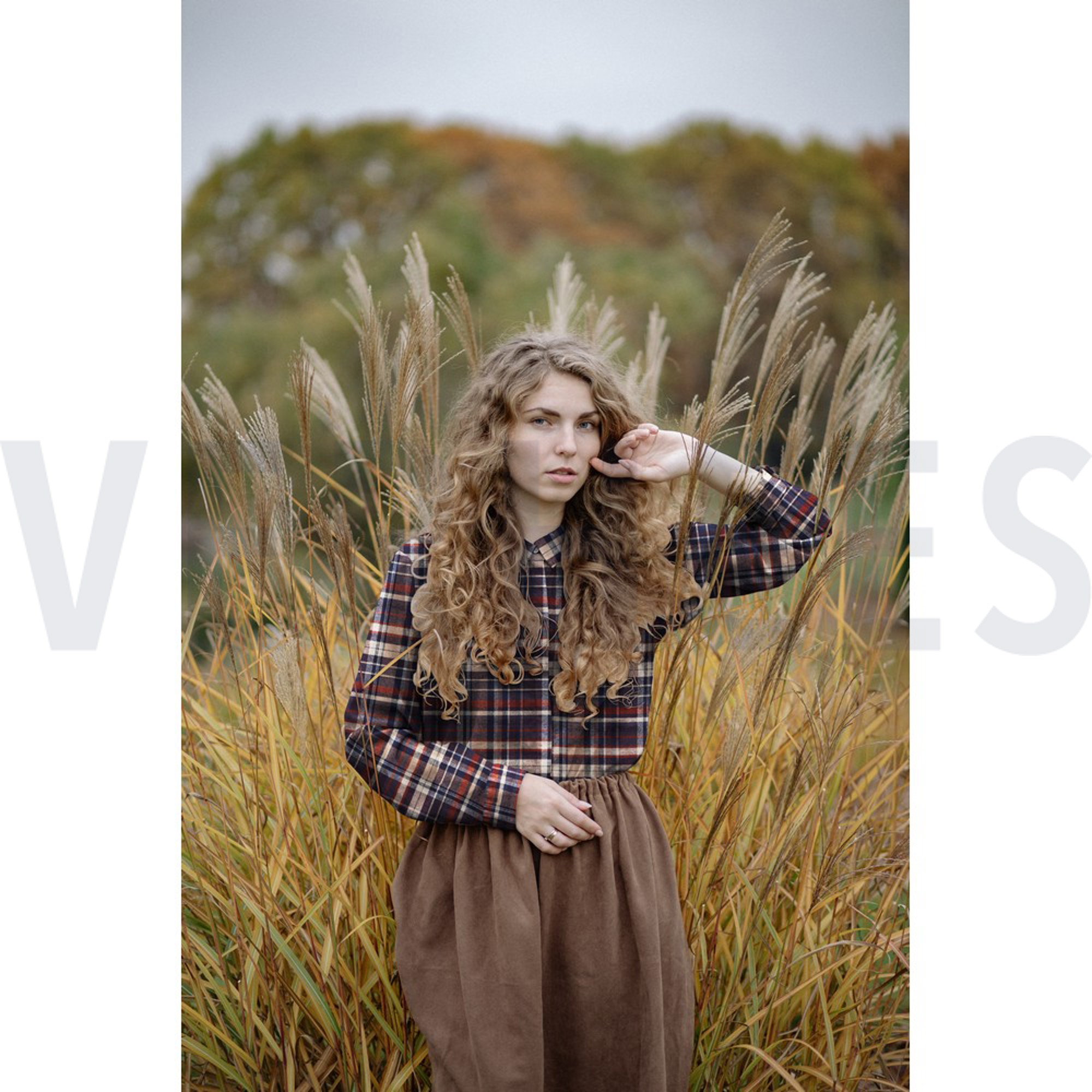 COTTON YARN DYED BRUSHED CHECKS NAVY (high resolution) #7