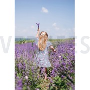 FINE POPLIN DIGITAL UNICORNS AND RAINBOWS DENIM (thumbnail) #7