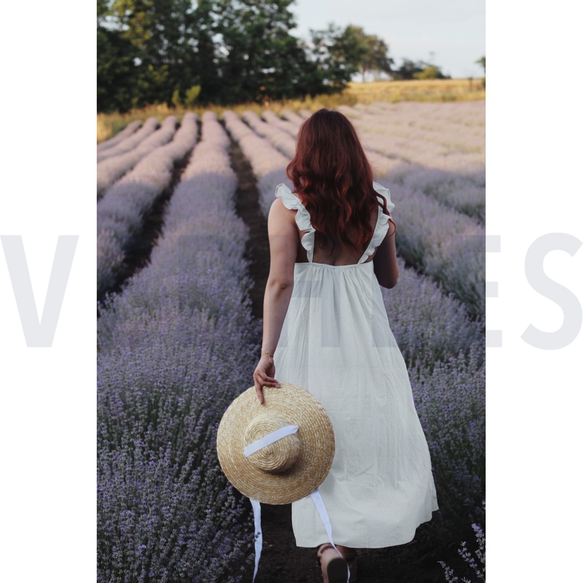 DOTTY NAVY (high resolution) #7