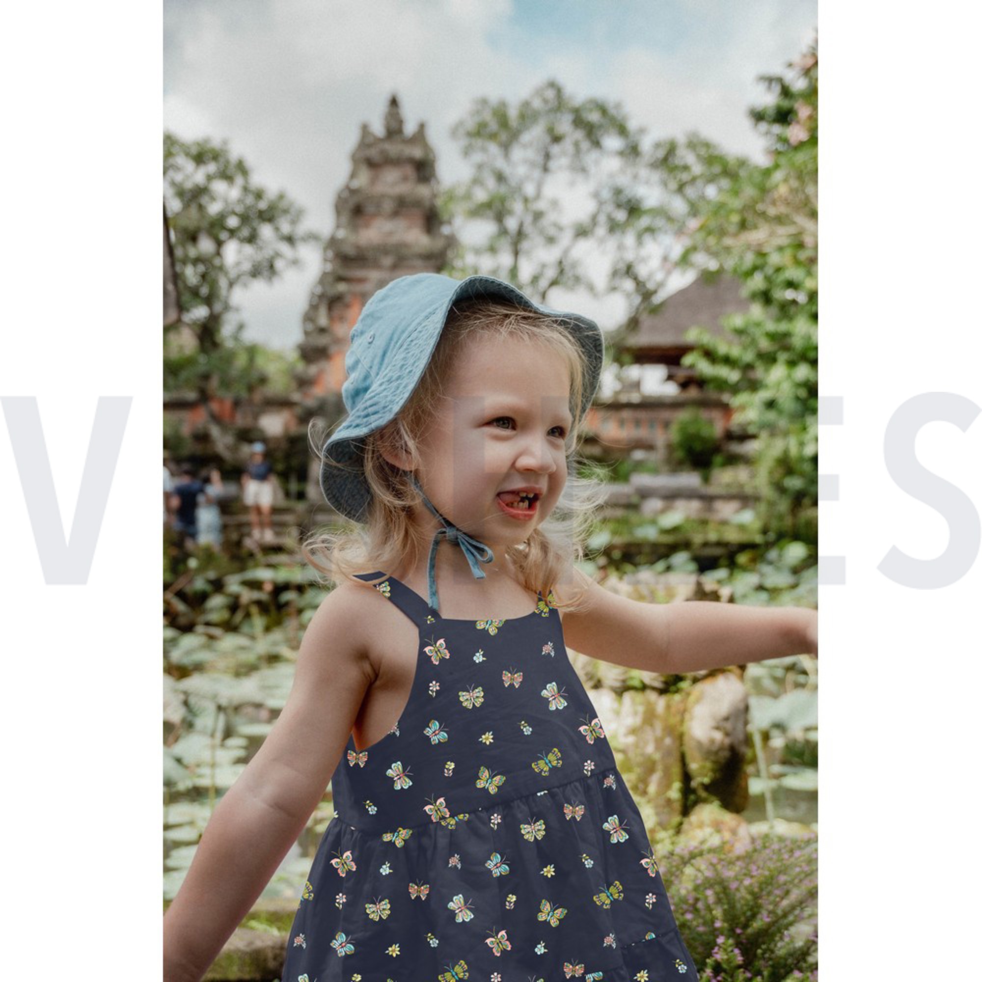 POPLIN DIGITAL BUTTERFLIES NAVY (high resolution) #7