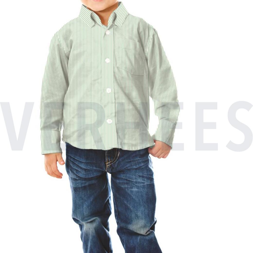 POPLIN STRIPE TERRA #7
