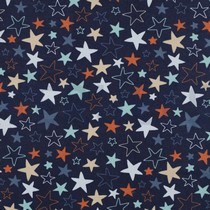 FLANNEL STARS BLUE (thumbnail)