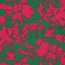 MAGNOLIA STRETCH GRAPHIC GREEN / PINK (thumbnail)