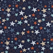 FLANNEL STARS BLUE (thumbnail)