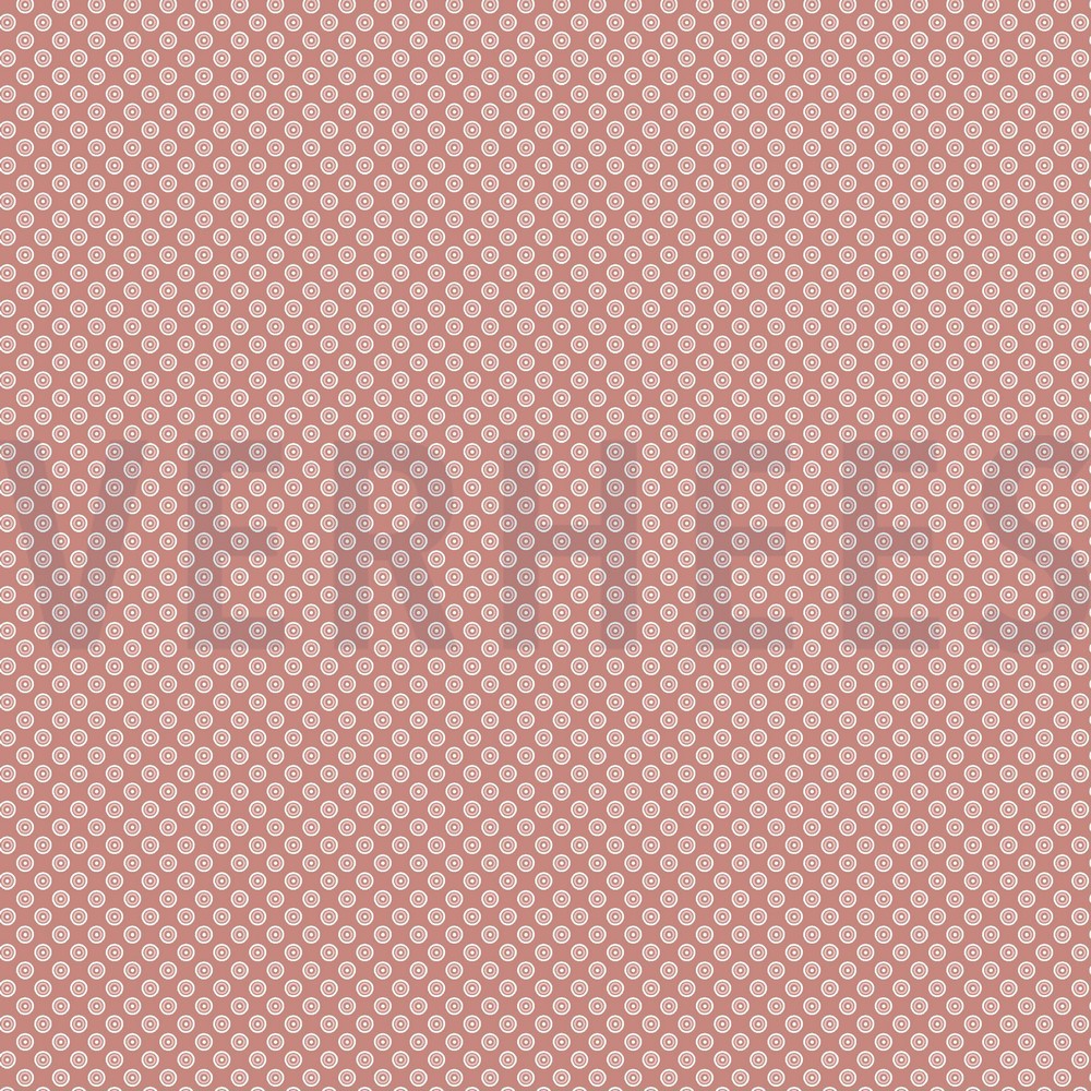 06845.005