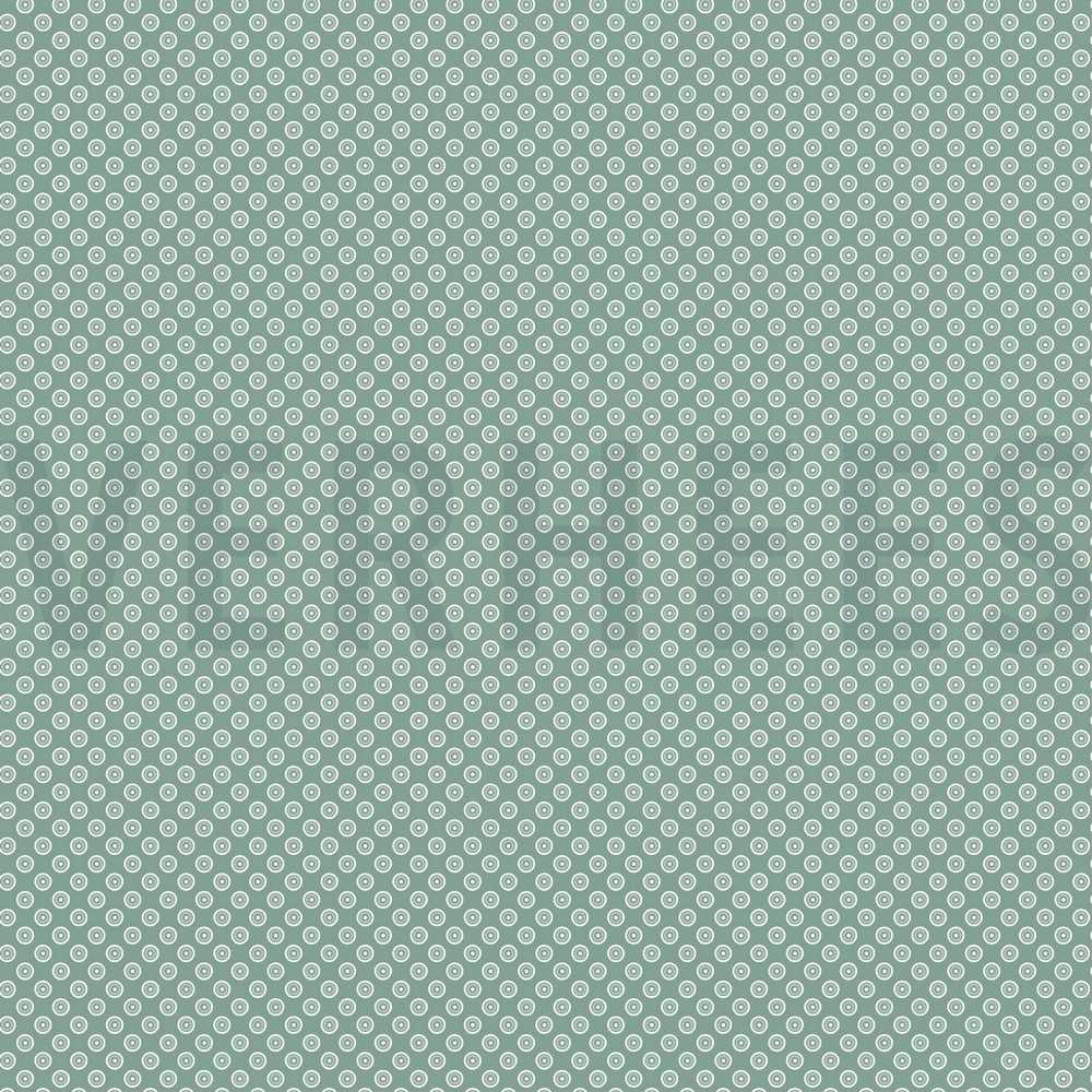 06845.010