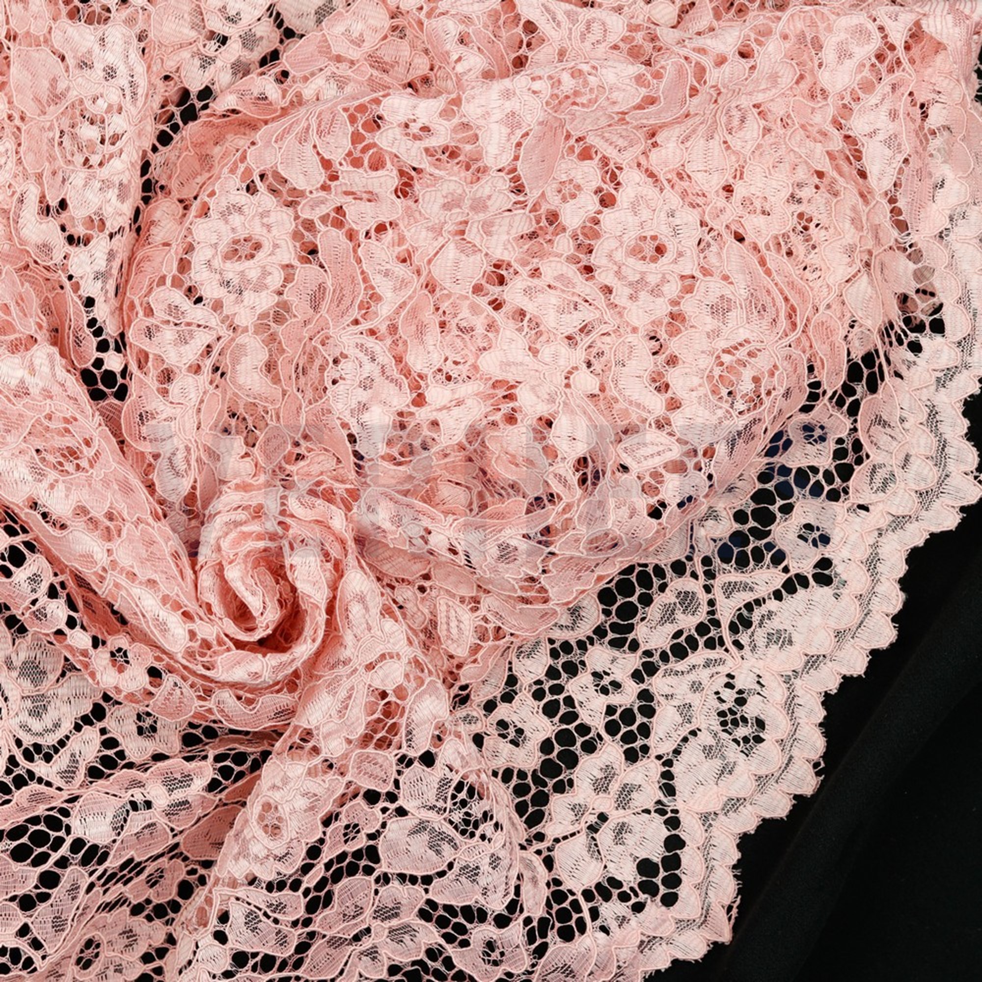 LACE BORDER 2 SIDES ROSE (high resolution) #2