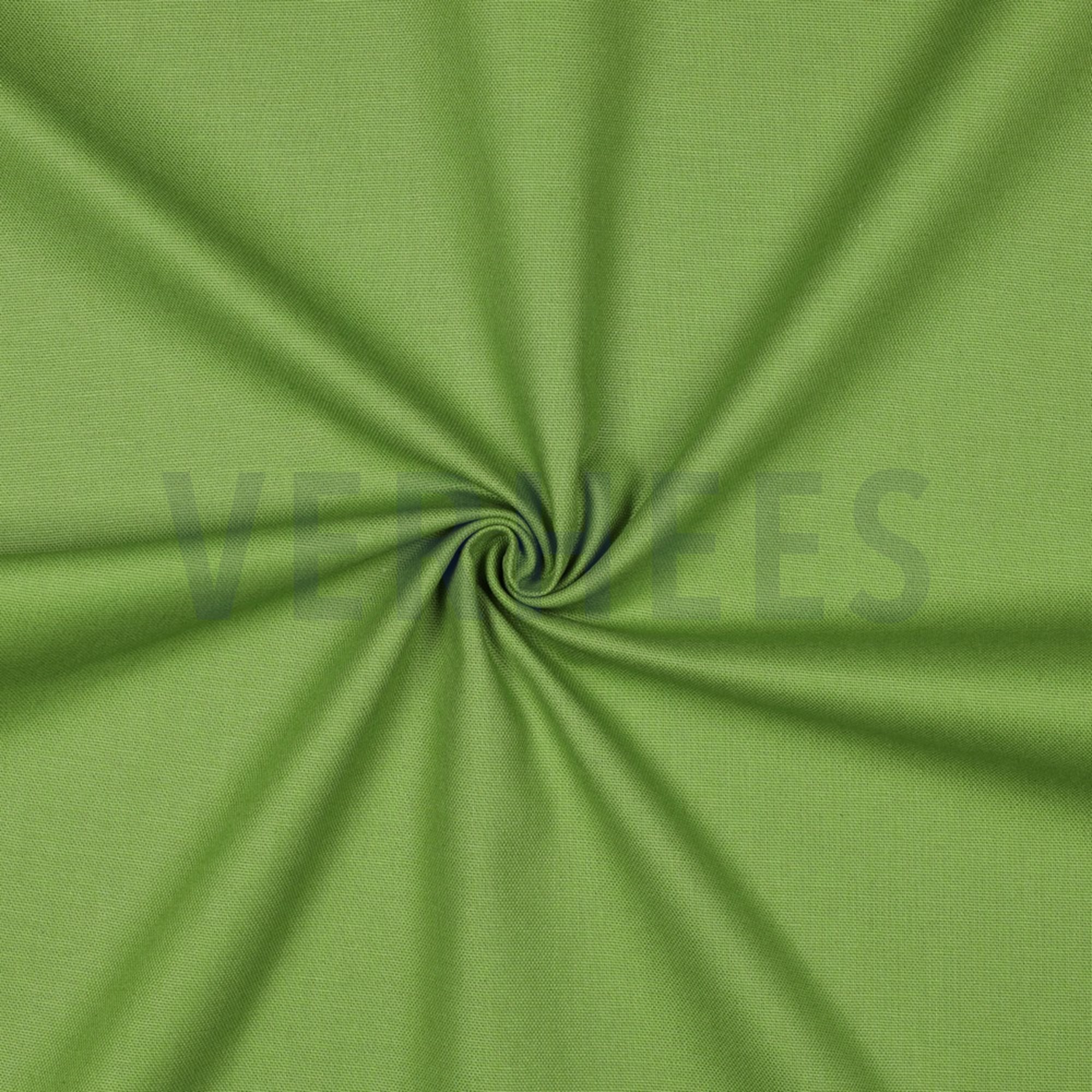 CANVAS LIME (high resolution) #3
